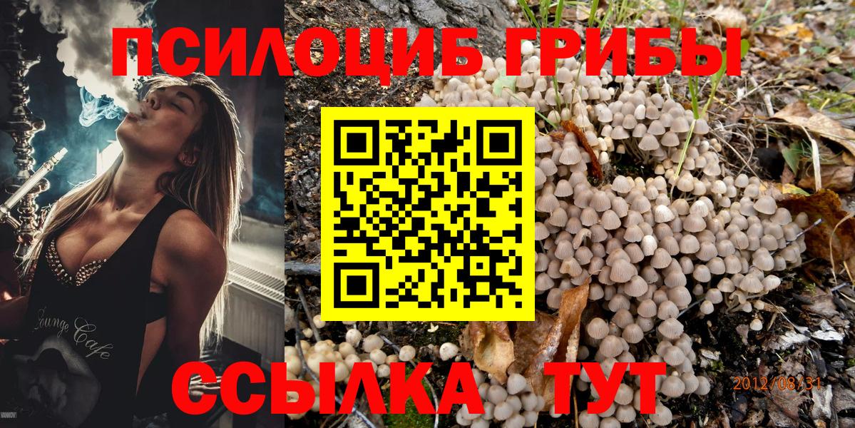 Псилоцибиновые грибы Cubensis  Псилоцибиновые грибы MAGIC MUSHROOMS  Майский  Вход с VPN 