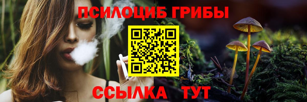 Псилоцибиновые грибы GOLDEN TEACHER Майский